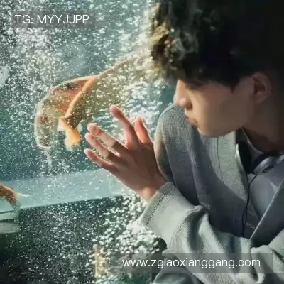 伍烽